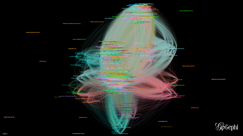 graphic visualization using Gephi