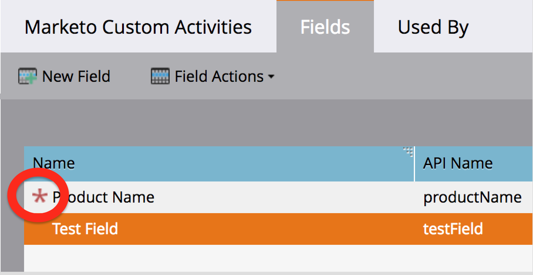 A screenshot of the Fields tab inside of the Marketo Custom Activities page.